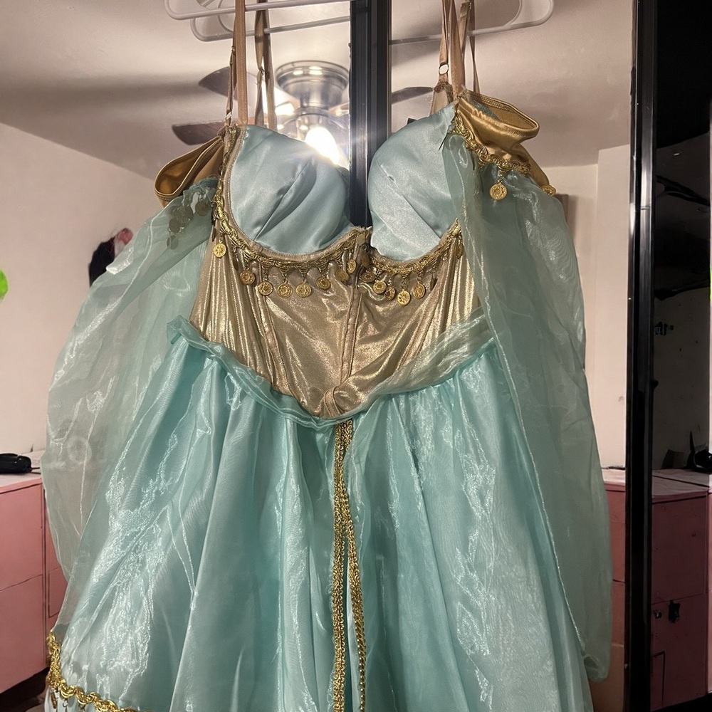 Princess Jasmine Adult Costume